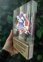 [FVRT06] Reconocimiento modelo VITRO - Acrilco impreso y Madera grabada